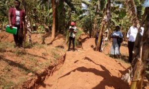 Bugesera: Digging ditches has helped farmers to conserve their land and environment