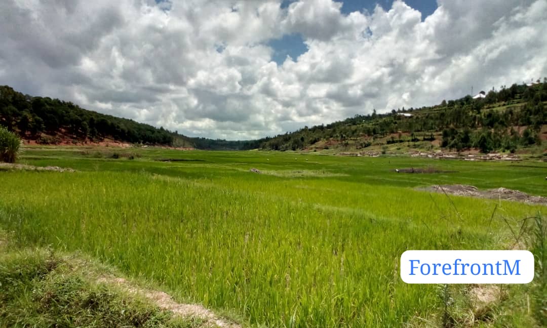 How Rwandan women farmers fight malnutrition and improve food security ...