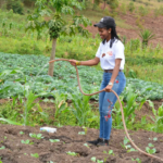 Making agribusiness glamorous for youths