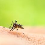 The shifting burden of neglected tropical diseases in the age of climate change