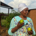 Gatsibo: How SAIP empowered women in the farming of the fruit