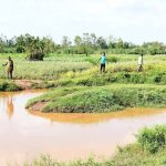 Kenya and Uganda Embark on $137 Million Angololo Water Resources Development Project to Boost Food Security, Power Access, and Regional Integration