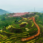 Climate Resilience in action: Gakenke residents’ journey through relocation and recovery