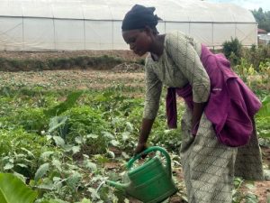 Gisagara: We are going to break from the pain of traditional irrigation methods- Women farmers