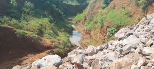 Kigali: Restoring wetlands will revive damaged ecosystems