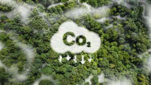 Xi Focus: Targeting a greener future, China embraces low-carbon growth with strides