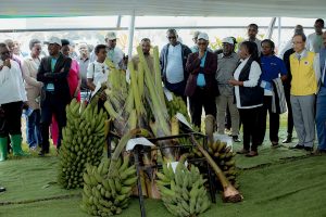 Farmers Encouraged to Adopt Resilient Technologies