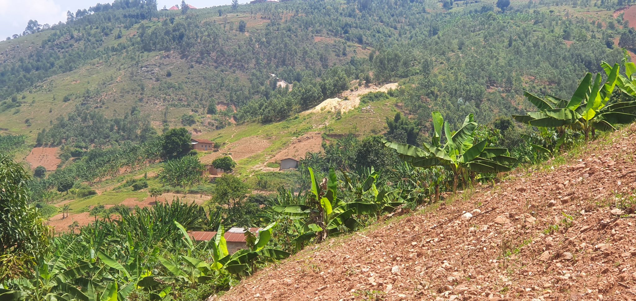 Lives in Ruin: The Trail of Devastation Left by Illegal Miners in ...