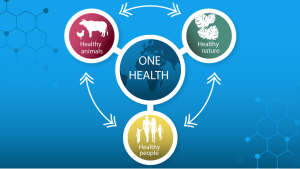 What is One Health? And why does it matter for Rwanda?