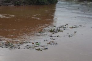 The Hidden Cost of Plastic Pollution in Rwandan Waterways