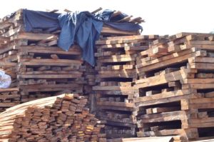 How Illegal Timber Flows from Congo Sustain Rwanda’s Wood Market