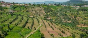 What to expect from the expansion of the Green Amayaga Project?