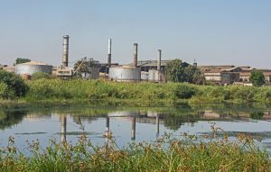 Inside the Cross-Border Network Exposing the Environmental Crisis Facing Africa’s Longest River