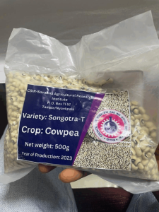 Ghana Approves Its First Genetically Modified Food Crop