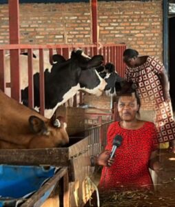 Rulindo: Farmers express their emotions after the support provided by the CDAT project