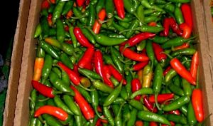 Rwandan Chili: A Household Name in China