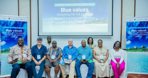 Experts call for the adoption of a holistic “Blue Values” framework to safeguard Indian Ocean benefits for people and nature.