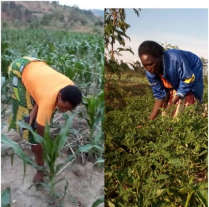 How women’s development has boosted their household economies