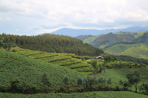 Communities denounce corporate capture of COP30, call for people-led climate solutions