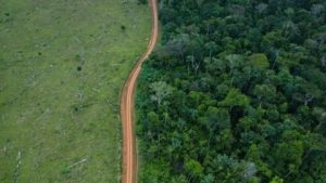 Zero deforestation by 2030: Deforestation and Restoration Targets Tracker