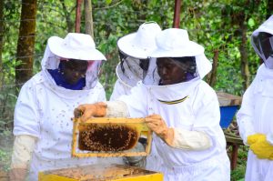 Conservation Beyond the Parks: Communities Boosting Biodiversity in Rwanda-Uganda Borderlands