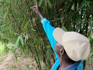 Ruhango: How the Green Amayaga Project Restored Hope to Communities Once almost turning into a desert