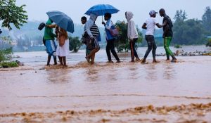 Meteo-Rwanda: January is expected to receive above-average rainfall