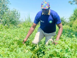 Nyamagabe: Tekana came at the right time as farmers faced growing hesitation from disasters