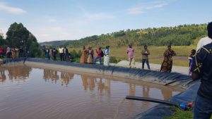 Gisagara: Small-scale irrigation helps farmers boost harvests