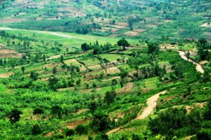 An environmental project transforms livelihoods for over 400,000 people in the Amayaga region