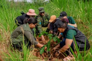 Nyungwe-Ruhango corridor: More than 2,100ha of degraded forests and wetlands will be restored