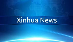 China will continue to facilitate trade with Africa following a zero-tariff policy: spokesperson