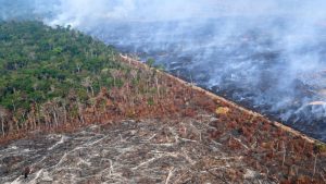 Close to $3.9 billion will be provided to help developing countries tackle environmental challenges.