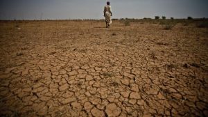 Climate litigation surge reshapes energy policy as Africa seeks stronger legal voice