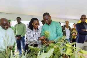 Green Gicumbi: How a Six-Year Climate Project Transformed Lives, Landscapes, and Livelihoods