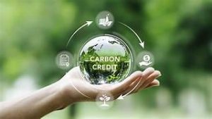 How Africa steps into the carbon market delivery as CMAS 2026 heads to Rwanda