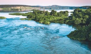 The Lake is dying from the Bottom Up: 40% of Lake Victoria’s floor holds no oxygen, and forty-five million people have not been told.