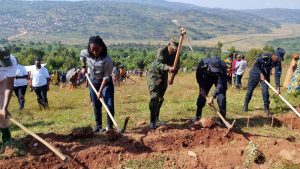 Six years of the Green Amayaga project: Restoring land and protecting biodiversity