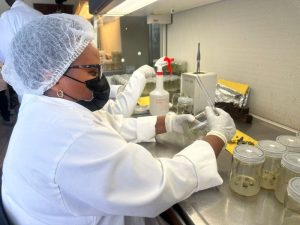 Seeds of Change: How Biotechnology Could Transform Rwanda’s Agriculture