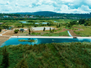 Photos: Kigali’s wetland restoration reaches 90% completion