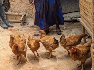Better access to nutritious foods strengthens Ngororero’s fight against child stunting