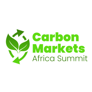 Beyond the carbon credit: Who sets the terms for Africa’s carbon markets?