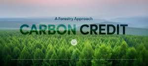 Rwanda earns over $1.5 million from carbon credit sales; 29 projects registered.