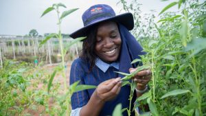 African indigenous crops take the global stage as scientist Pamela Afokpe wins prestigious 2026 Borlaug Field Award